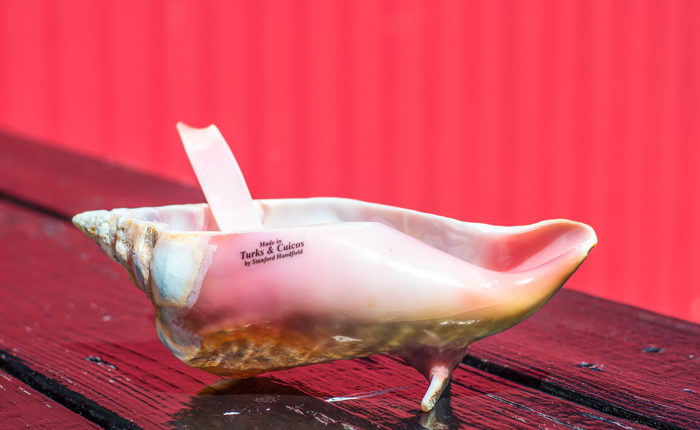Conch-1-bowl – Copy