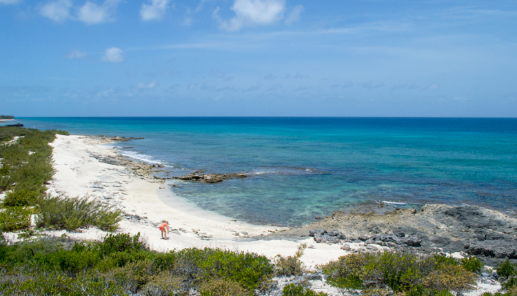 Our Islands Salt Cay Turks and Caicos Islands